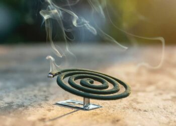 Camping Insektenschutz Mückenspirale (depositphotos.com)