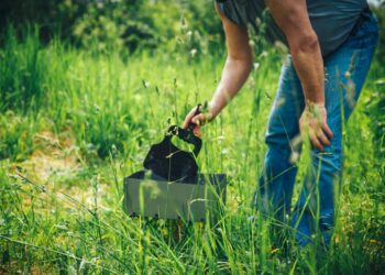 Faltgrill (depositphotos.com)