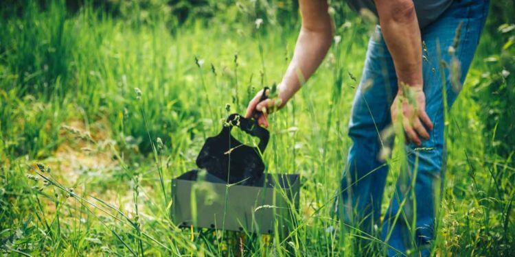 Faltgrill (depositphotos.com)